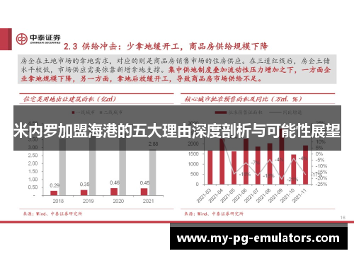 米内罗加盟海港的五大理由深度剖析与可能性展望