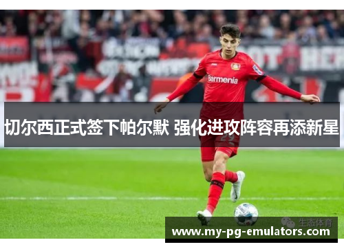 切尔西正式签下帕尔默 强化进攻阵容再添新星