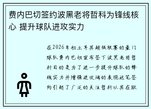 费内巴切签约波黑老将哲科为锋线核心 提升球队进攻实力