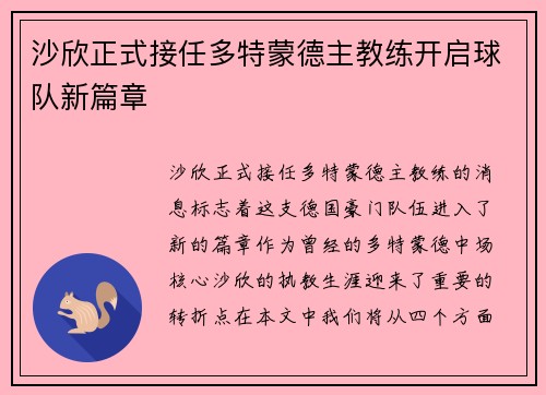 沙欣正式接任多特蒙德主教练开启球队新篇章
